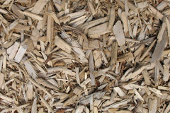 biomass boilers Pendrift