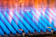 Pendrift gas fired boilers
